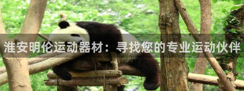 NG大舞台官方正版app官网:淮安明伦运动器材:寻找您的专业