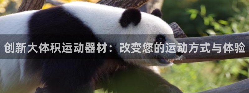 NG大舞台官方正版app娱乐网站:创新大体积运动器材:改变您