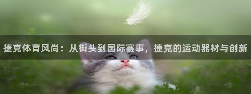 NG大舞台官方集团官网:捷克体育风尚:从街头到国际赛事,捷克